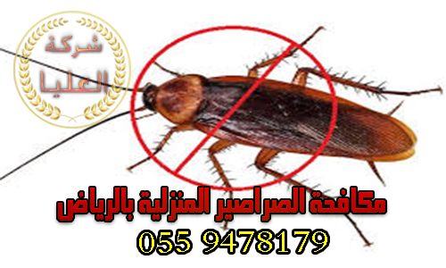 شركة مكافحة الصراصير المنزلية بالرياض